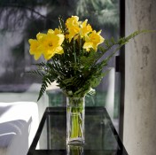 Still_Life